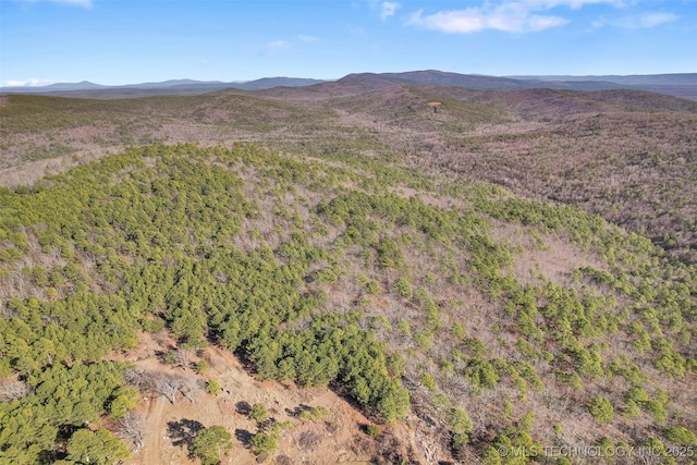 bird's eye view with a mountain view