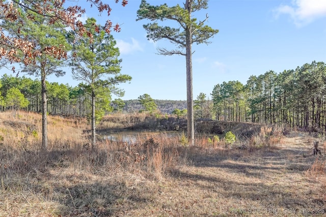 view of local wilderness