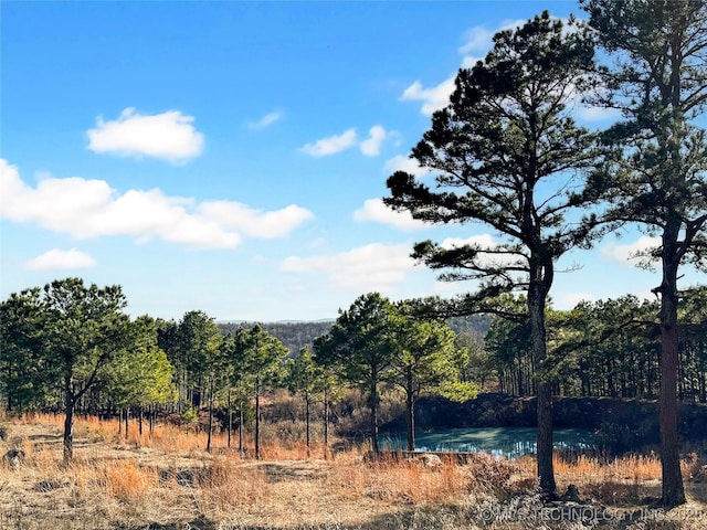 view of nature with a water view