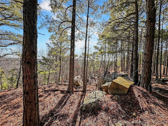 view of local wilderness