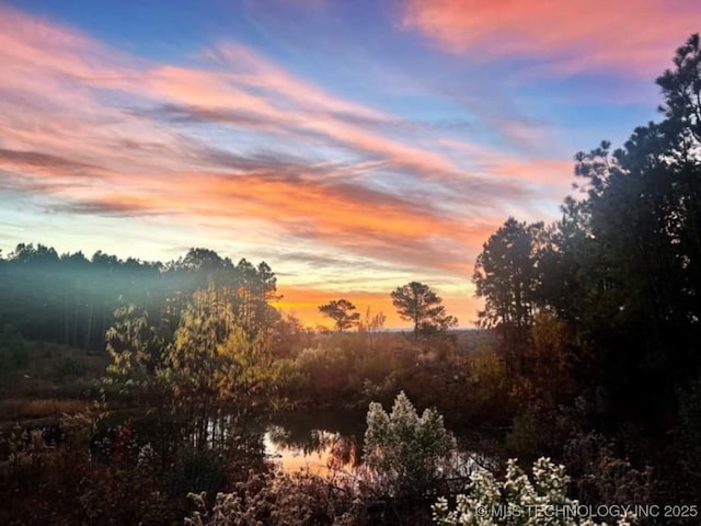 view of nature at dusk