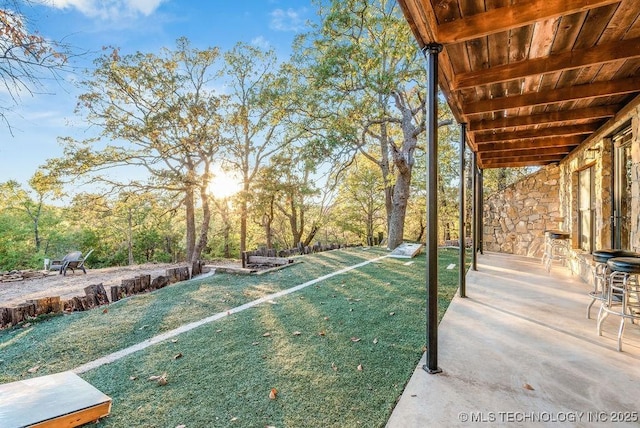 view of yard with a patio area