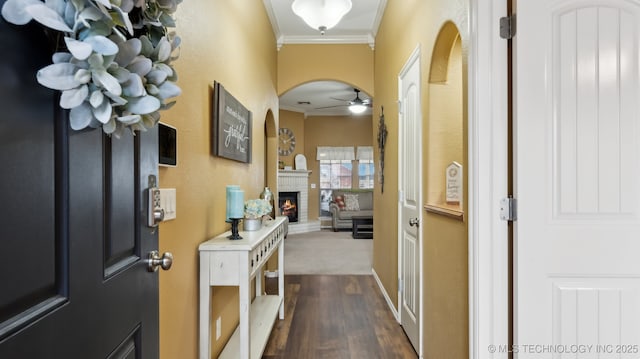 hallway with ornamental molding and dark hardwood / wood-style floors