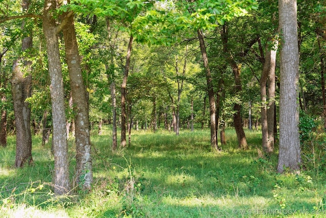 view of landscape