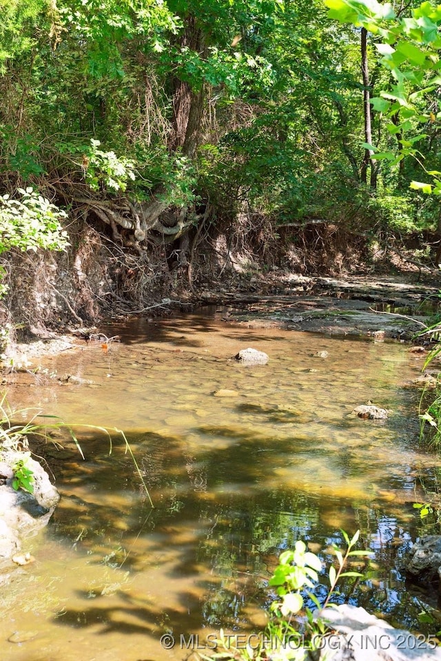 view of local wilderness with a water view