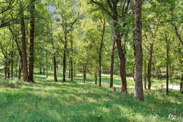 view of nature