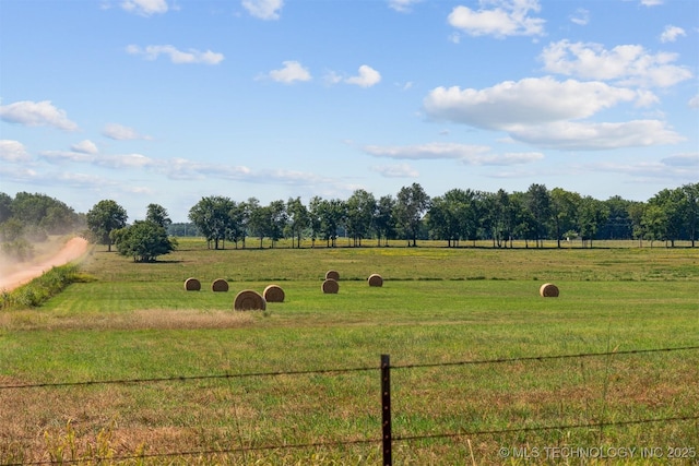 view of yard with a rural view