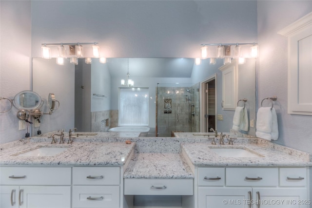 bathroom with vanity and a shower with shower door