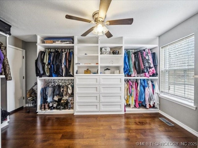 walk in closet with ceiling fan and dark hardwood / wood-style flooring