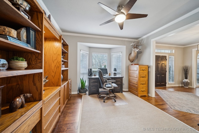 office space featuring ornamental molding, dark hardwood / wood-style floors, and ceiling fan