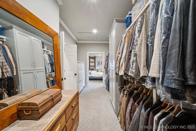 spacious closet with light colored carpet