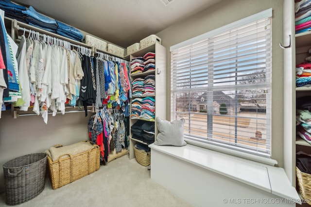 spacious closet featuring carpet flooring