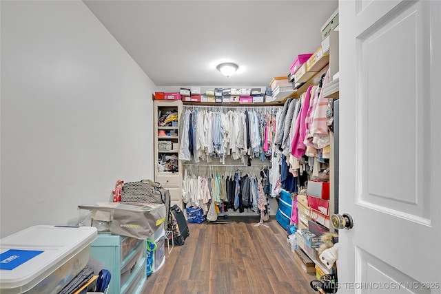 spacious closet with dark wood-type flooring