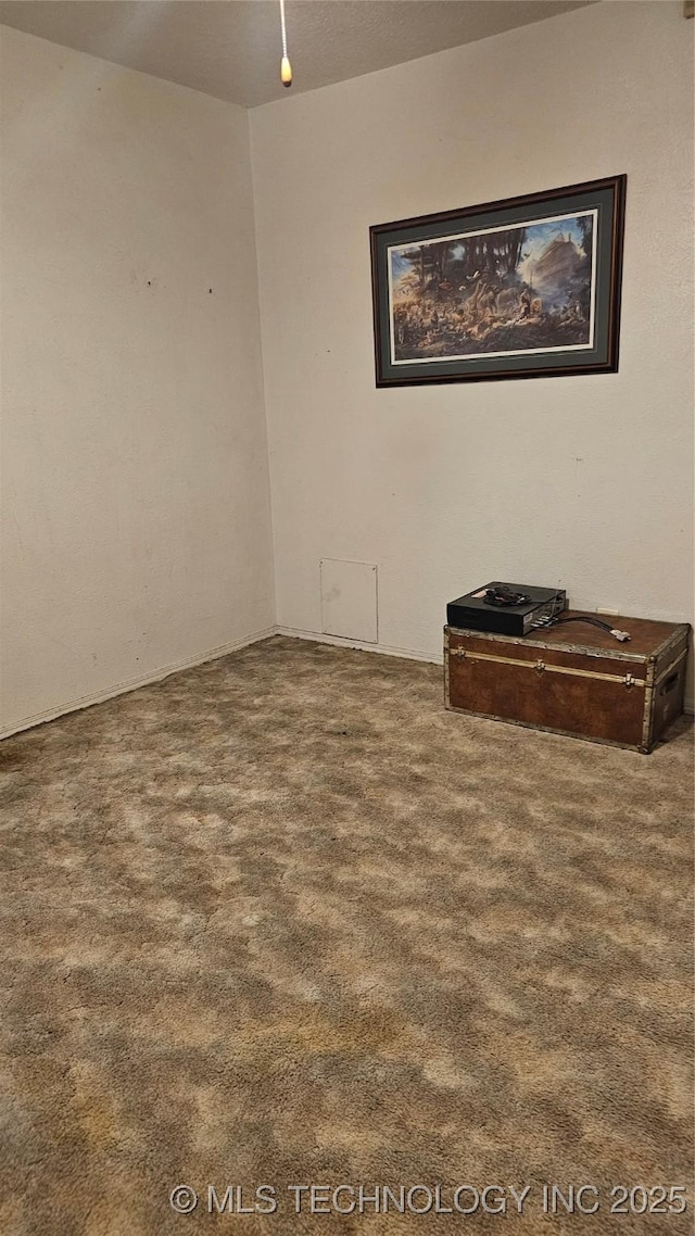 spare room with carpet