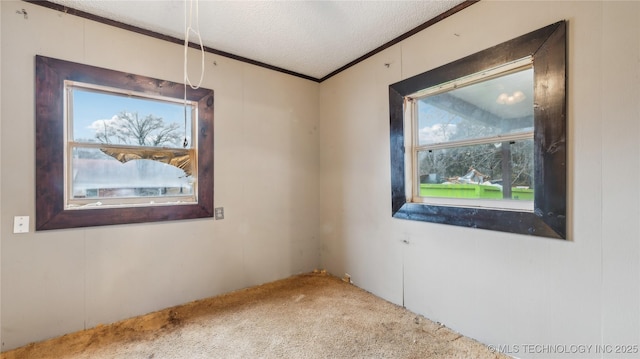 spare room featuring ornamental molding, carpet flooring, and a textured ceiling