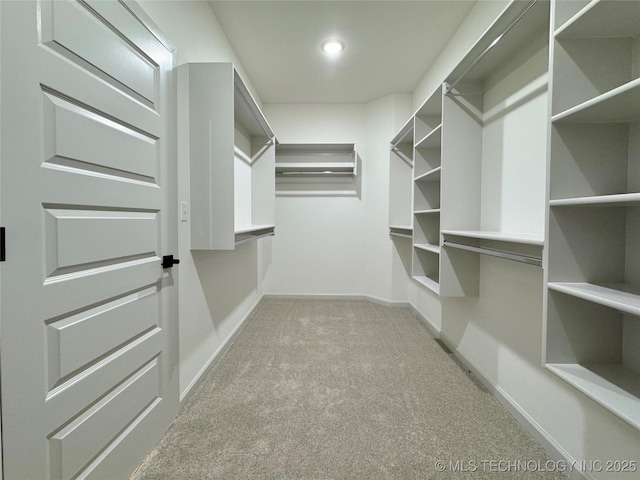 spacious closet featuring light carpet