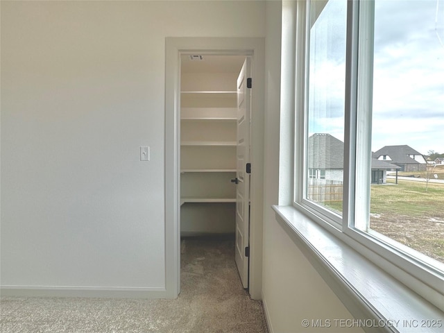 view of closet