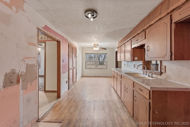 kitchen with ceiling fan, sink, and light wood-type flooring