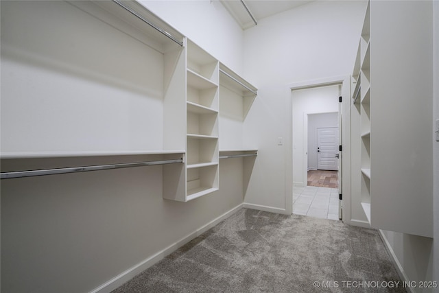 walk in closet featuring carpet flooring