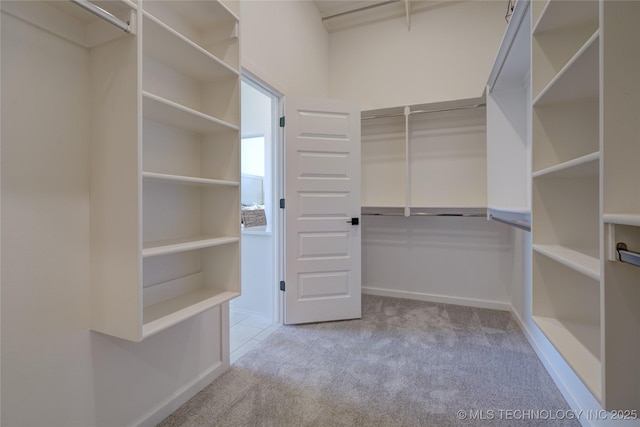 walk in closet featuring light colored carpet