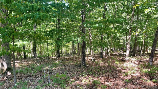 142 Dogwood Cir, Kansas, OK 74347