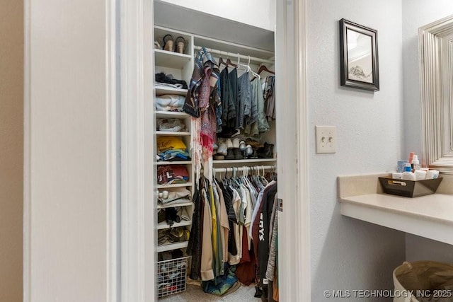 view of closet