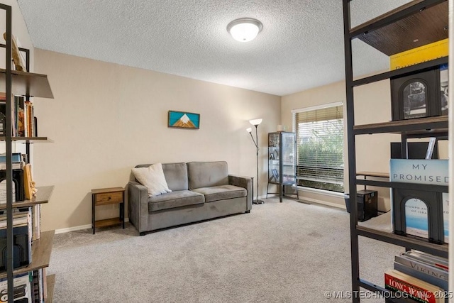 carpeted living room with a textured ceiling