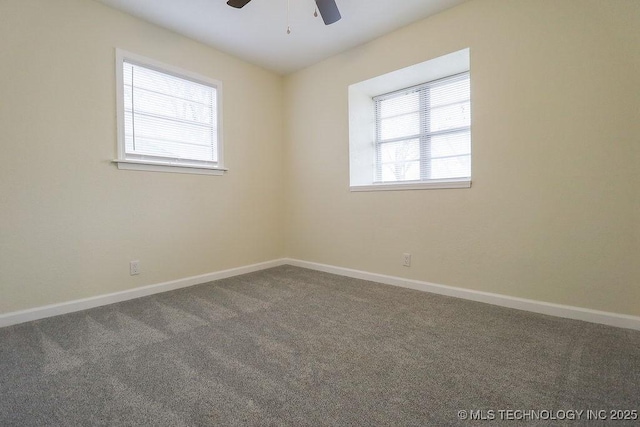 empty room featuring ceiling fan and carpet