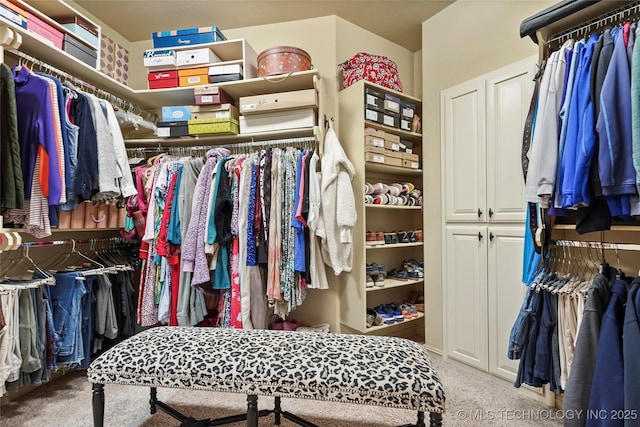 spacious closet with light carpet