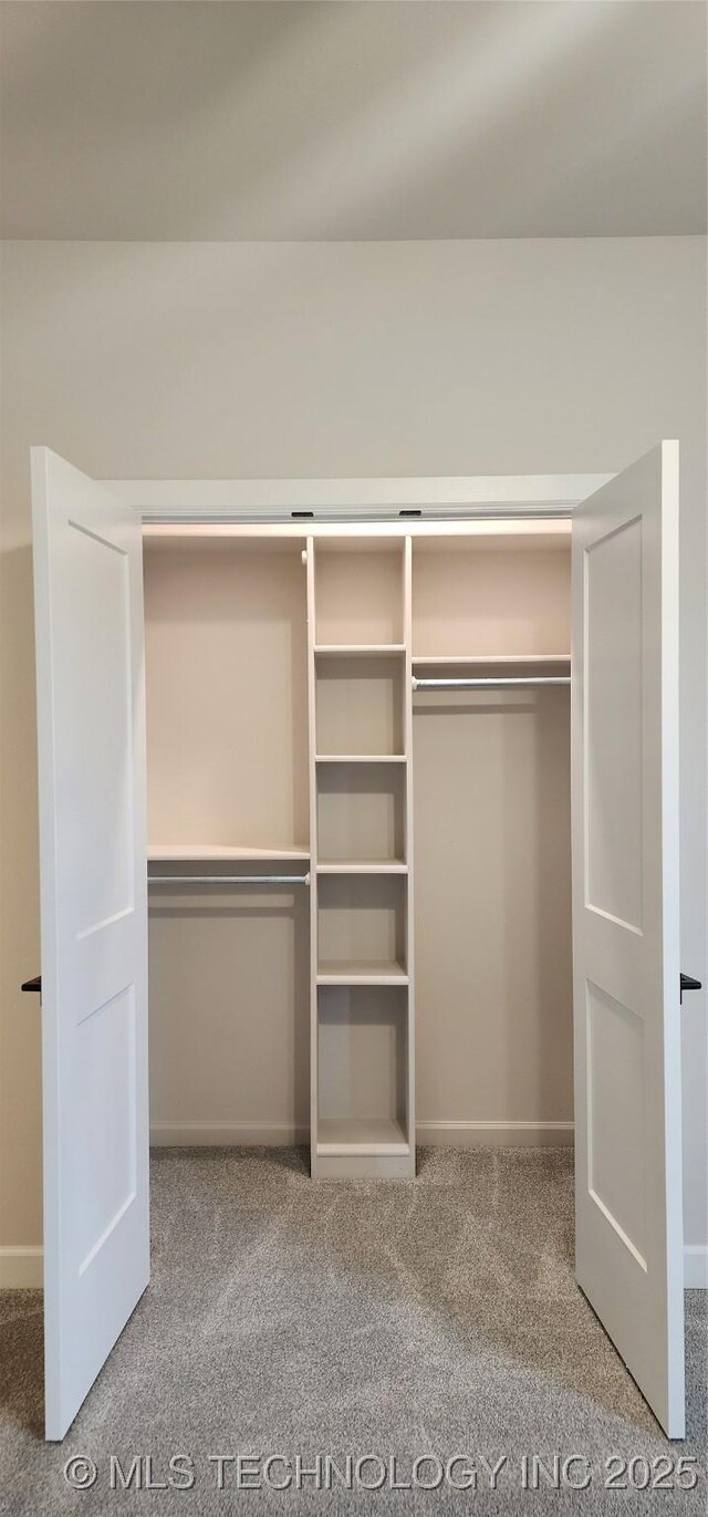 view of closet