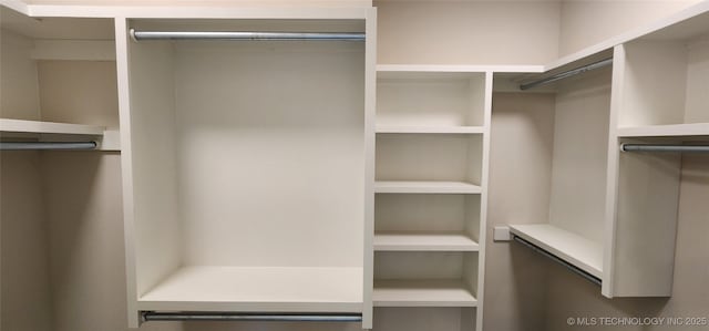 view of spacious closet