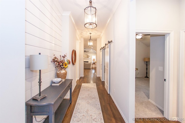 hallway with crown molding, dark wood-type flooring, and a barn door