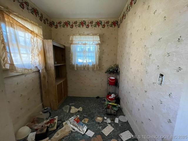 miscellaneous room with a wealth of natural light