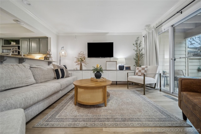 living room featuring ornamental molding and light wood-type flooring