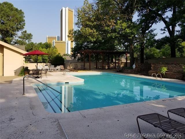 view of pool with a patio