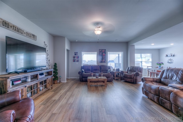 living room featuring light hardwood / wood-style flooring