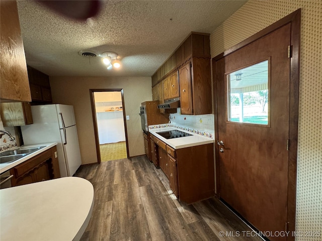 kitchen with dark hardwood / wood-style floors, tasteful backsplash, sink, black electric cooktop, and a textured ceiling