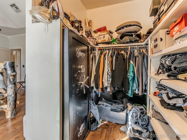 walk in closet with wood-type flooring