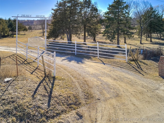 view of yard with a rural view