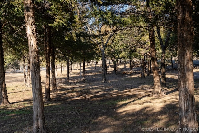 view of local wilderness