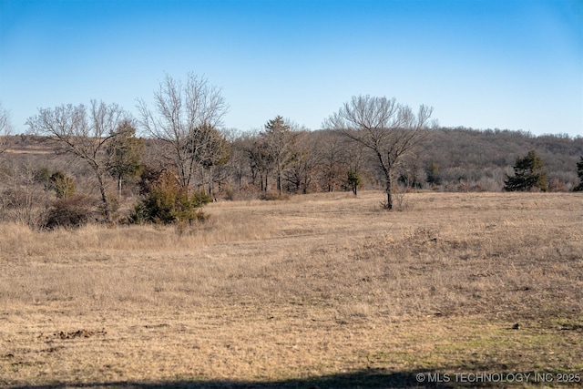 view of local wilderness featuring a rural view