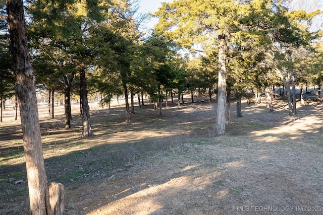 view of local wilderness