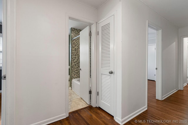 hallway with crown molding and dark wood-type flooring