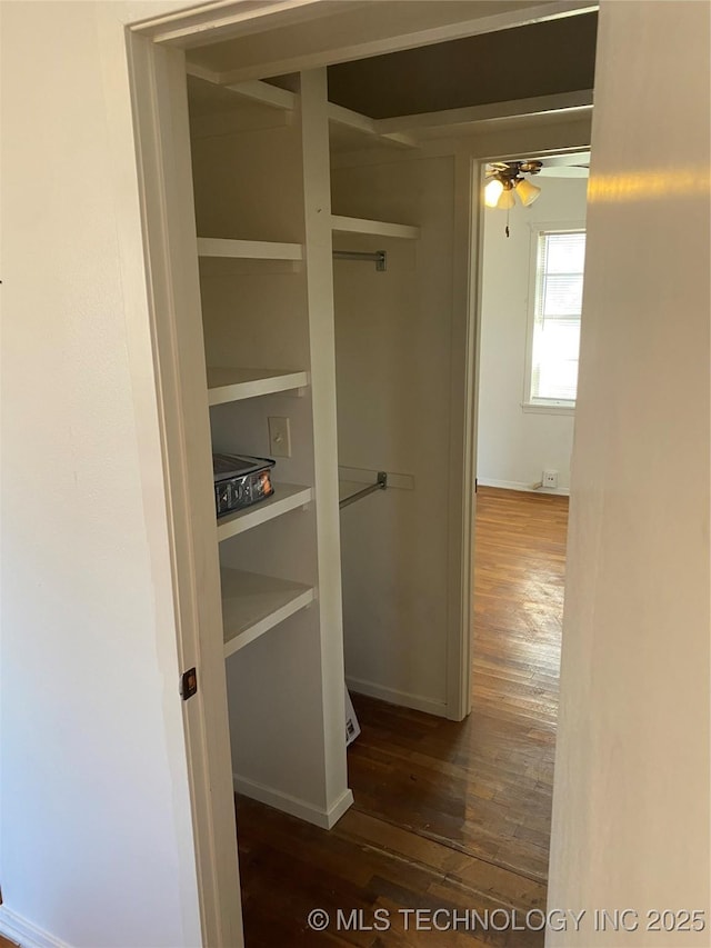 view of closet