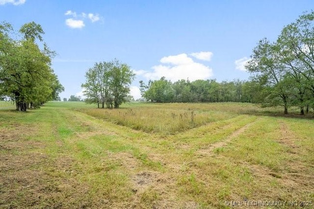 view of local wilderness with a rural view