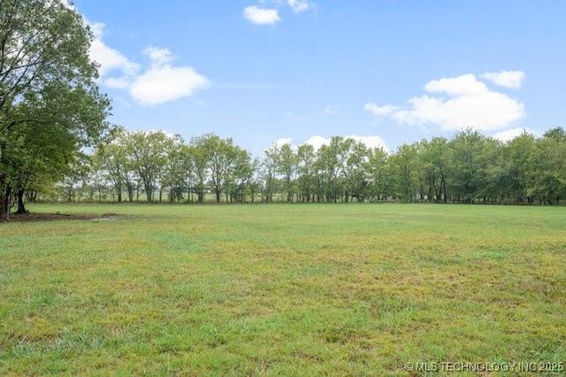 view of yard featuring a rural view