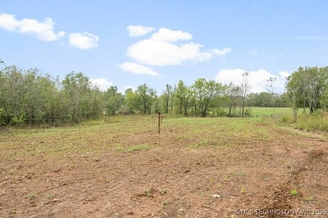 view of landscape featuring a rural view