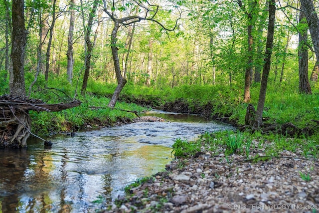 view of water feature featuring a wooded view
