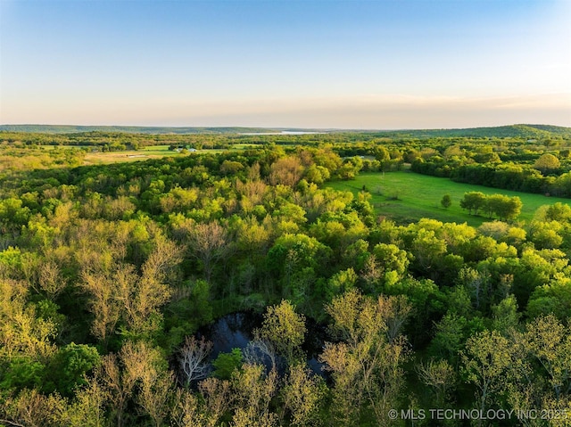 drone / aerial view featuring a wooded view
