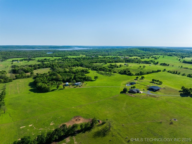 drone / aerial view featuring a rural view